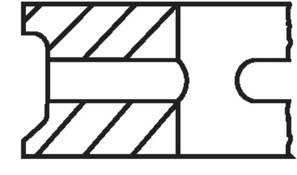 273 19 N1