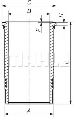 02870324303.jpg
