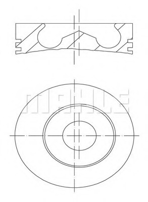 02870350203.jpg